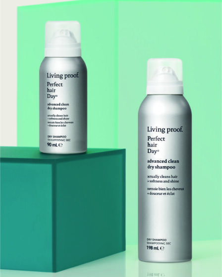 champus secos para un aspecto limpio conoce como refrescar tu cabello al instante