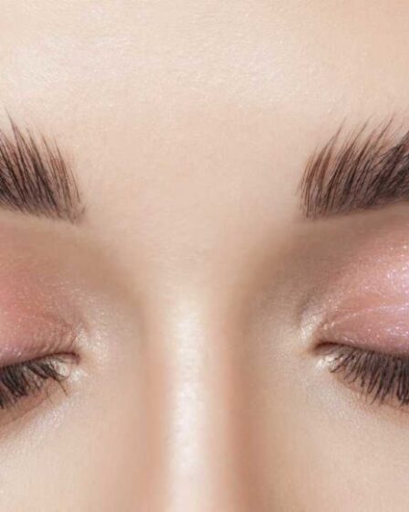 como se llaman las cejas hacia arriba