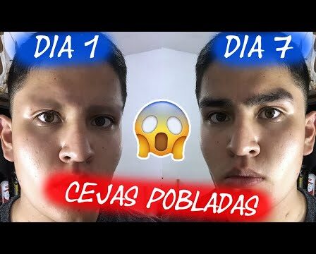 cuanto tiempo tarda en crecer el pelo de las cejas