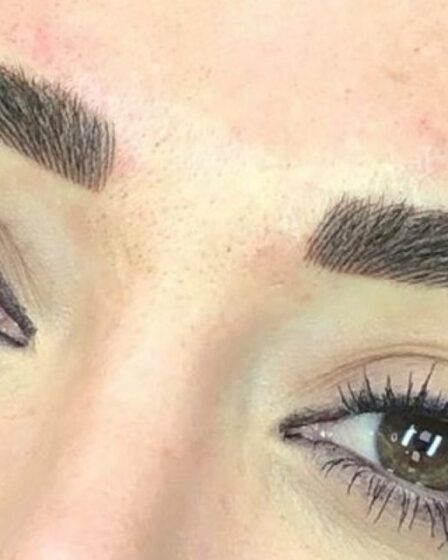 que se utiliza en la micropigmentacion