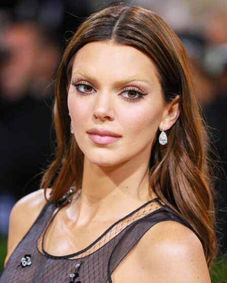 como se llaman las cejas que estan de moda